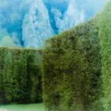 Lynn Geesaman, Château Freyr, Belgium. Belœil, Belgium, 2004, 2 Arbeiten: je C-Print