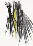 Hans Hartung, P10-1980-H4