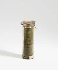 Geruchsplastik by Joseph Beuys, 1978, Preserving jar with information, essential oils and chlorophyll. Height approx, sold Jun 2017