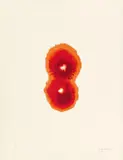 Otto Piene, Rose oder Stern, 1965, Mappe mit 6 Farbserigrafien und Textblättern auf Velin, beige, rot oder schwarz. Mit Umschlag. In originaler roter Leinenmappe