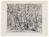 Camille Pissarro, Paysage sous bois, à l'Hermitage (Pontoise)