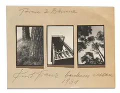 Kurt Kranz, Türen & Bäume, Bauhaus Dessau, 1931, 3 vintage gelatin silver prints (contact prints). Each