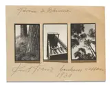 Kurt Kranz, Türen & Bäume, Bauhaus Dessau