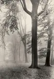 Max Baur, Untitled (Park Sanssouci, Potsdam), 1940s, Vintage ferrotyped gelatin silver print