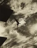 Dive from the 10-metres-tower, Berlin by Leni Riefenstahl, 1936, Vintage gelatin silver print, sold May 2017