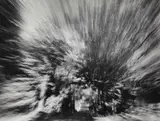 Andreas Feininger, Porsche racing I, 1959, Ferrotyped gelatin silver print, printed later