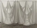 Ralph Steiner, Hanging sheets, 1965, Gelatin silver print, printed
