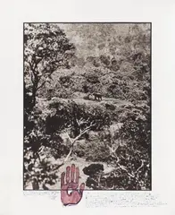 Peter Beard, Elephant tussle in the Aberdare Forest (from the series: The End of the Game/Last Word from Paradise), 1972, Toned gelatin silver print, printed later
