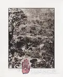 Peter Beard, Elephant tussle in the Aberdare Forest (from the series: The End of the Game/Last Word from Paradise)