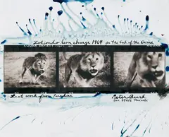 Peter Beard, Loliondo Lion Charge (from the series: The End of the Game), 1964, Toned and hand-colored gelatin silver print, printed later