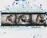 Peter Beard, Loliondo Lion Charge (from the series: The End of the Game), 1964, Toned and hand-colored gelatin silver print, printed later