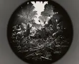 Emmet Gowin, Ireland, 1972, Gelatin silver print, printed