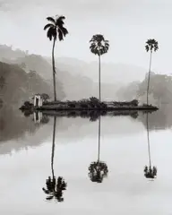 Sri Lanka, Kandy by Robert Häusser, 1988, Gelatin silver print, sold May 2017