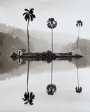 Robert Häusser, Sri Lanka, Kandy, 1988, Gelatin silver print