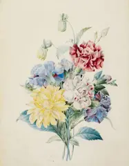 Eulalie Bury, Studies of Pinks and Dahlias, Watercolour over pencil on parchment, mounted on card