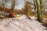 Forest Path in Winter by Peder Mørk Mønsted, Oil on canvas, sold May 2017