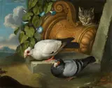 Jakob Samuel Beck, Two Doves and a Cat, Oil on canvas (relined)