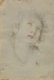 attributed to Carlo Dolci, Study of a Female Head, Black and brown chalk on tinted paper