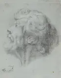 Cosme de Acuña, Study of a Male Head, Black chalk on tinted paper