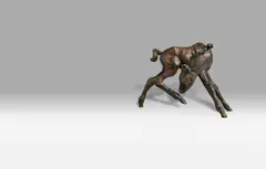 Renée Sintenis, Sich leckendes Fohlen, 1942, Bronze sculpture