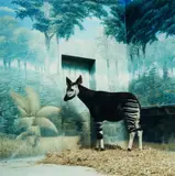 Christina Zück, Ohne Titel (Paris, Opkapi), 1996, Chromogenic print