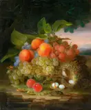 George Forster, Still Life with Fruit and a Bird's Nest, Oil on canvas