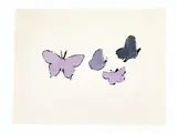 Andy Warhol, Butterflies