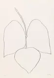 String bean leaves I by Ellsworth Kelly, 1965/1966, Lithograph on BFK Rives, sold Dec 2016