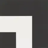 Ellsworth Kelly, Two Blacks and White