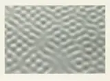 Gerhard Richter, Haut I, 2004, Silkscreen and offset on card