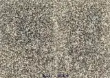 Gerhard Richter, 20.280
