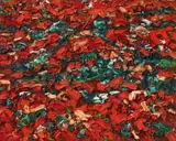 Ralph Fleck, Feldstück 27/X, 1991, Oil on canvas