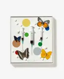 Damien Hirst, Happy, 2008, Assemblage of syringes, butterflies, pills, synthetic resin and varinsh on canvas in display case
