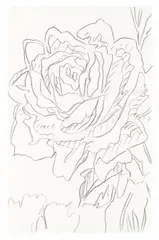Rose by Andy Warhol, 1970s, Graphite on card. Approx, offered Dec 2016