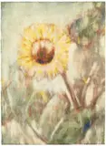 Sonnenblume by Christian Rohlfs, 1934, Water tempera, brushed and scratched, on firm watercolour laid paper, offered Dec 2016