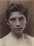 Wilhelm von Gloeden, Untitled (Portrait of a boy)