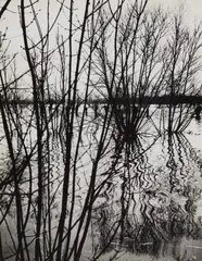 François Kollar, Flood, Poitou, c. 1950, Vintage gelatin silver print