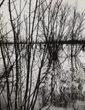 François Kollar, Flood, Poitou, c. 1950, Vintage gelatin silver print