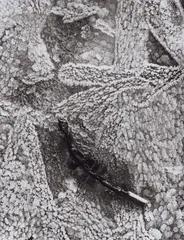 Ballade in Eis by Peter Keetman, 1948, Ferrotyped gelatin silver print on Agfa paper, printed later, offered Dec 2016