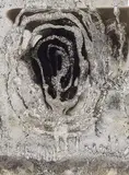 Chargesheimer, Untitled