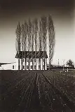 Heinrich Riebesehl, Untitled (from the series: Agrarlandschaften)