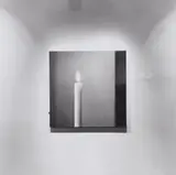 Louise Lawler, What Else Could I Do