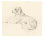 Karl Philipp Fohr, His Dog Grimsel Horse Studies on Verso, Graphite
