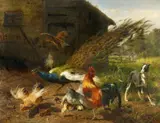 Carl Jutz the Elder, Much Ado About Nothing