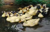 Ducks on the Water by Alexander Koester, Oil on canvas, sold Nov 2016