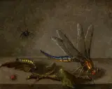 Still Life with Insects by Netherlandish School 17th century, Oil on panel, sold Nov 2016