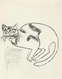 Andy Warhol, Sam, Around 1956, India ink and lithograph on paper with lithograph verso
