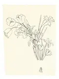 Andy Warhol, Bouquet of Flowers, Around 1956, India ink on paper. Approx