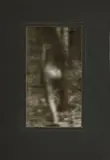 Miroslav Tichý, Untitled