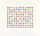 Damien Hirst, Pyronin Y, 2005, Colour aquatint etching on cardboard